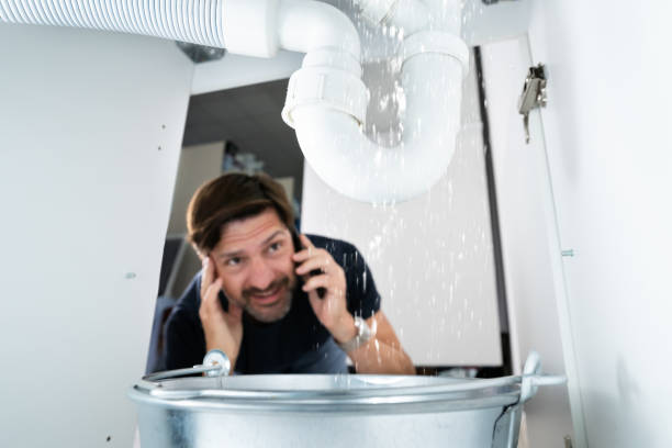 Best Sprinkler Systems  in Ellicott City, MD
