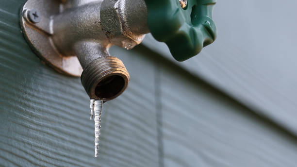 Sprinkler Systems in Ellicott City, MD